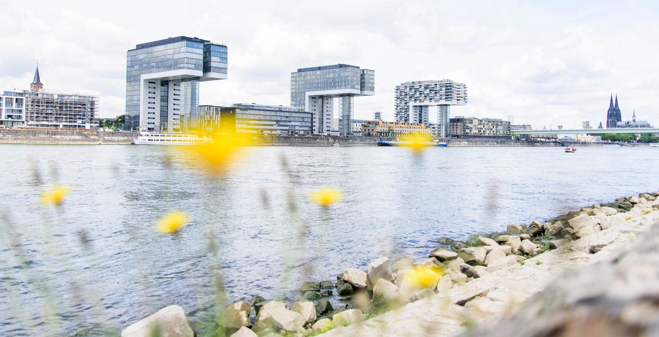 Rheinauhafen Köln Das OnlinePortal für unser Veedel am Rhein